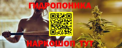 дмт Будённовск