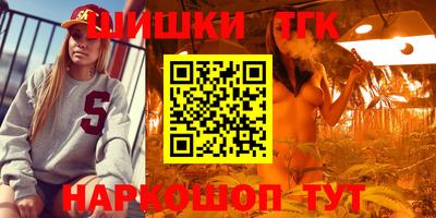 дмт Будённовск