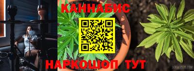 дмт Будённовск