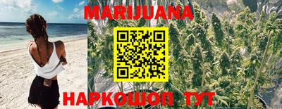 дмт Будённовск