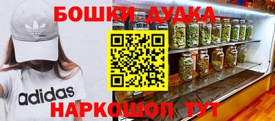 дмт Будённовск