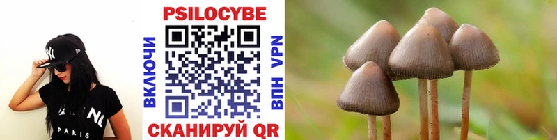 Псилоцибиновые грибы мухоморы  мега ссылка  Грязи  где можно купить  