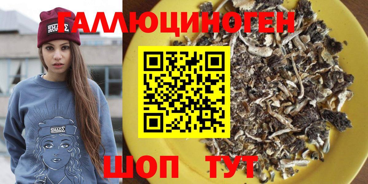 Галлюциногенные грибы Psilocybine cubensis Грязи